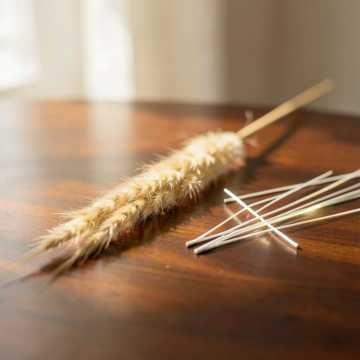 Velvet Reed Waltz 2